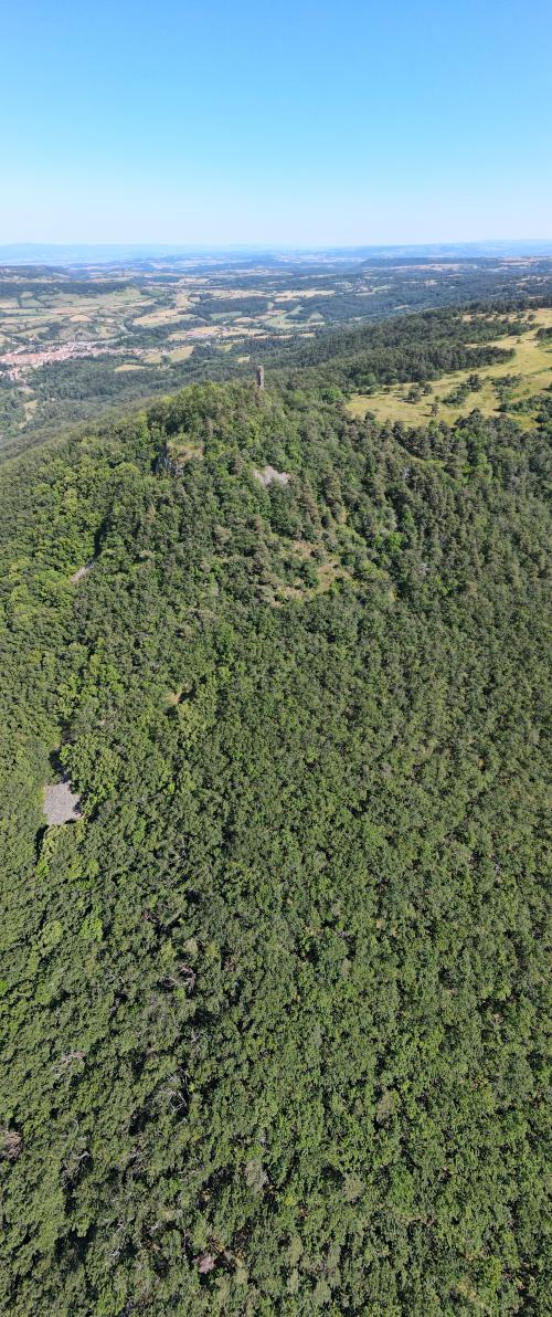 DJI_3025.JPG